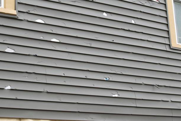 Best Siding Removal and Disposal  in Ben Avon, SC